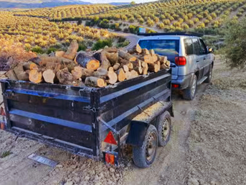 Remolque cargado de leña listo para el transporte a domicilio